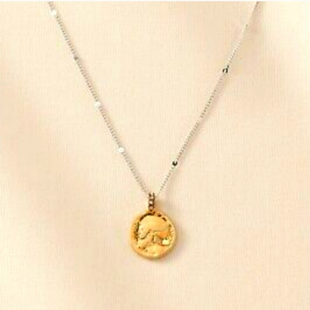 Stella and Dot Heritage Coin necklace